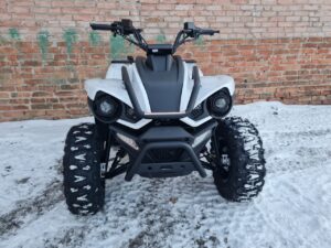 Linhai Z-210 EFi - інжектор - Quadro